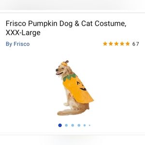 Pumpkin Dog costume